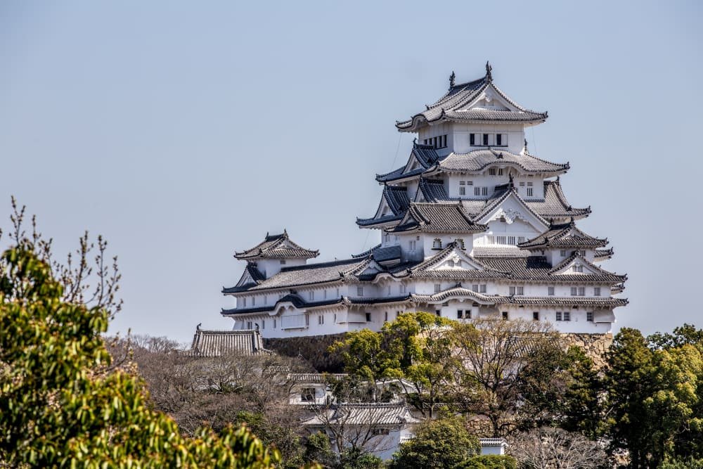 🏛️ 히메지 문학관(히메지분가쿠칸) 이미지 7